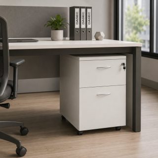 La cajonera de 3 cajones es un mueble compacto y funcional, ideal para oficinas modernas que buscan combinar diseño y practicidad. Con unas dimensiones de 75 cm de alto, 45 cm de ancho y 50 cm de profundidad, esta cajonera ofrece un amplio espacio de almacenamiento para documentos y objetos de uso diario. Equipado con correderas telescópicas que permiten un deslizamiento suave de los cajones y manillas metálicas que aportan resistencia y estilo.